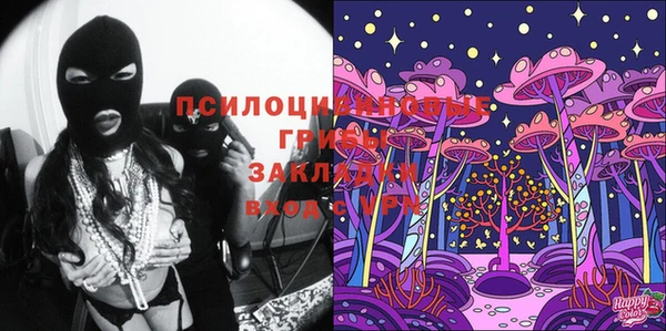 индика Бугульма