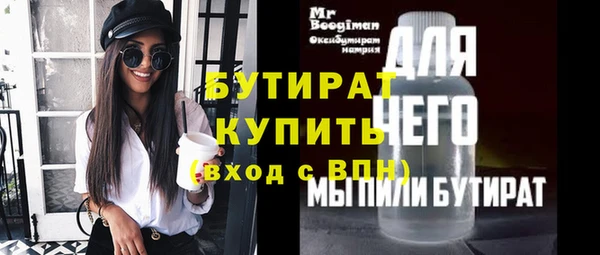 твердый Бородино