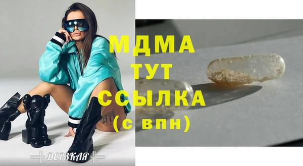 индика Бугульма