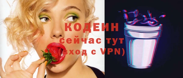 индика Бугульма