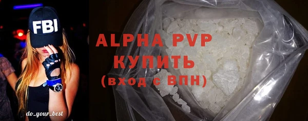 твердый Бородино