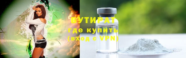 твердый Бородино