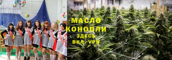 твердый Бородино
