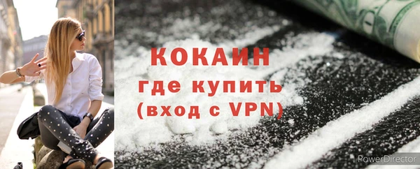 твердый Бородино