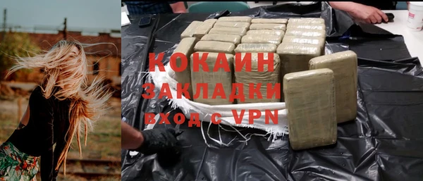 твердый Бородино