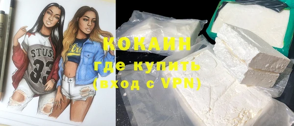 индика Бугульма