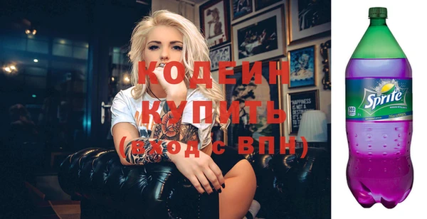 твердый Бородино