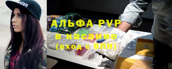 индика Бугульма