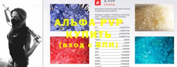 индика Бугульма